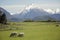 Beautiful landscape of Glenorchy, New Zealand