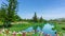 Beautiful landscape in a good maintenance garden of the public park, Norfolk Island plant