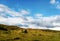 Beautiful landscape of grasslands and sky and clouds countryside