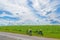 Beautiful landscape with a green field and a beautiful sky with clouds, two bicycles on the side of the road on a halt