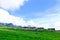 A beautiful landscape of green field with cottages and blue sky with white clouds as background