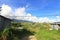 A beautiful landscape of green field with cottages and blue sky with white clouds as background