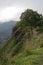 Beautiful landscape with a green hill  a tree and mountains with fog as background near Ella  in Sri Lanka