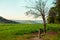 Beautiful landscape: a green meadow at the foot of the mountains, a lone tree that has a stall for tying horses