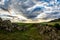 Beautiful landscape with green vegetation, rocks and a blue sunset sky with clouds