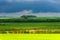 Beautiful landscape, green and yellow field. Dramatic sky with clouds