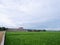 Beautiful landscape growing Paddy rice field two side with long road and mountain