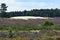 Beautiful landscape of heather fields interspersed with sand drifts dunes.