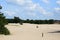 Beautiful landscape of heather fields interspersed with sand drifts dunes.