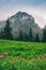 Beautiful landscape in high mountains with green meadow right under the mountain.