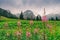 Beautiful landscape in high mountains with green meadow right under the mountain.