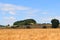 Beautiful landscape with hill and grain field in Saxon Switzerland