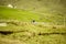 Beautiful landscape with hills of green rural fields in the countryside of Ireland. Road trip by car.