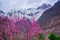 Beautiful Landscape of Hunza Valley in Autumn season