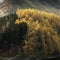 Beautiful landscape image of Autumn Fall with vibrant pine and larch trees against majestic setting of Hawes Water and High Stile