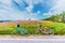 Beautiful landscape image with bicycles on cosmos flower field.