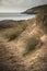 Beautiful landscape image of Freshwater West beach with sand dun