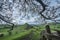 Beautiful landscape image of Parkhouse Hil viewed from Chrome Hill in Peak District National Park in early Autumn