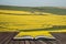 Beautiful landscape image of ripe rapeseed canola crop in Spring