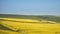Beautiful landscape image of ripe rapeseed canola crop in Spring