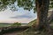 Beautiful landscape image of Sycamore Gap at Hadrian`s Wall in N