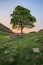 Beautiful landscape image of Sycamore Gap at Hadrian`s Wall in N