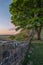 Beautiful landscape image of Sycamore Gap at Hadrian`s Wall in N