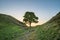 Beautiful landscape image of Sycamore Gap at Hadrian`s Wall in N