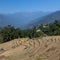 A beautiful landscape image of Terrace farming