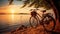 beautiful landscape image vintage bicycle parked by the river at sunset