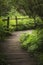 Beautiful landscape image of wooden boardwalk through lush green