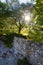 Beautiful landscape in Italy: Olive trees, stone wall and sunrise. Nobody