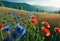 Beautiful landscape, a large field with poppies and cornflowers against the backdrop of a beautiful landscape