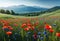 Beautiful landscape, a large field with poppies and cornflowers against the backdrop of a beautiful landscape