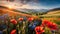 Beautiful landscape, a large field with poppies and cornflowers against the backdrop of a beautiful landscape