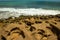 Beautiful landscape of lonely beach for paradise vacations. Coasts of the north of Brazil with unique beauty