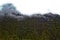 Beautiful Landscape Lush Green Trees and Mountains capped with snow on the way to Yumthang Valley, Sikkim, India