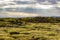 Beautiful landscape of moss covered lava rocks in Iceland with sunrays shining through clouds