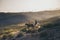 Beautiful landscape on mountain with windmills in background and couple of people riding horse for excursion on alternative cowboy