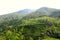 Beautiful landscape with mountains, forest and pines, step farming and blue sky.