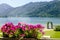 Beautiful Landscape with Mountains, Lake and Pink Flowers. Outdoor Scenic Seascape. Holiday Place