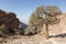 Beautiful Landscape near Monastery ad deir, ancient city of Petra, Jordan