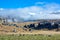 Beautiful landscape of the New Zealand - hills covered by green grass with herds of sheep with snow mountain