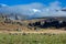 Beautiful landscape of the New Zealand - hills covered by green grass with herds of sheep with snow mountain