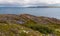 Beautiful landscape of the North Sea coast with stones covered with colorful moss. View from the mountain.Teriberka, Barents Sea,