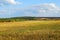 Beautiful landscape with an oblique field of wheat