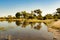 Beautiful landscape Okavango Delta