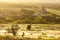 The beautiful landscape of the old Church in the beams of the setting or rising sun soft focus