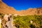Beautiful landscape of palm oasis close to Tinghir, Morocco, Africa