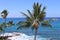 Beautiful landscape with palm trees with gorgeous Pacific Ocean waters at a resort in Kona, Hawaii